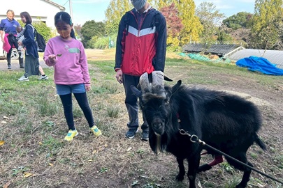 馬術部のマスコット、ヤギの八木さんにごあいさつ。