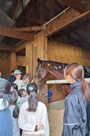 今から乗せてもらうお馬さんをご紹介。