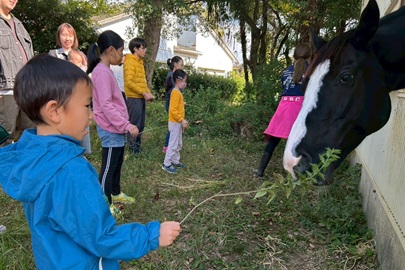 この草おいしいかなあ...。