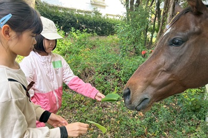 食べてくれる？