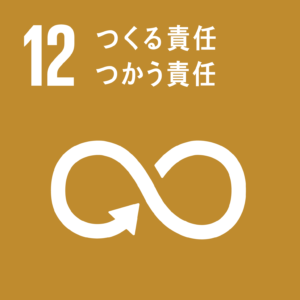 sdgs17