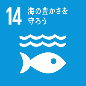 sdgs17