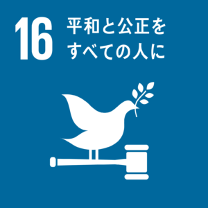 sdgs17