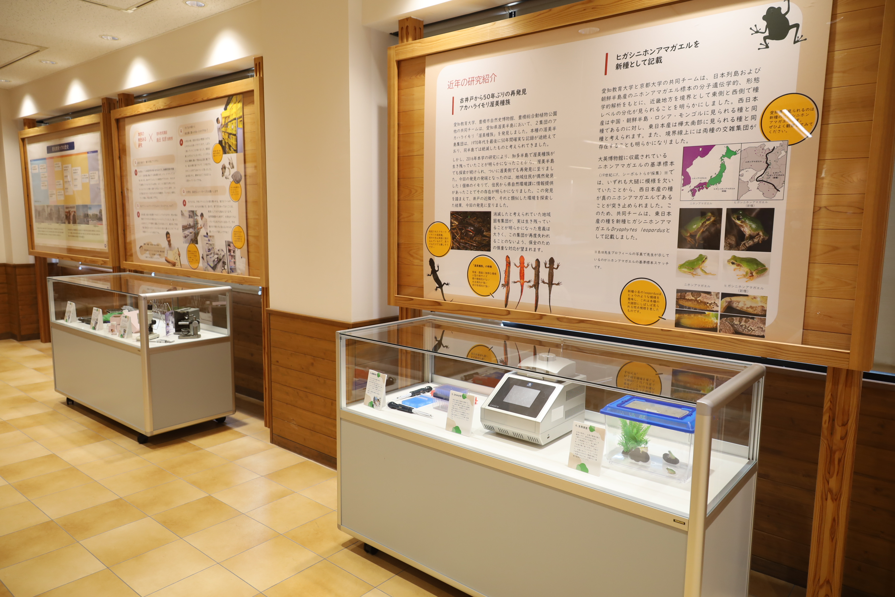 展示の様子