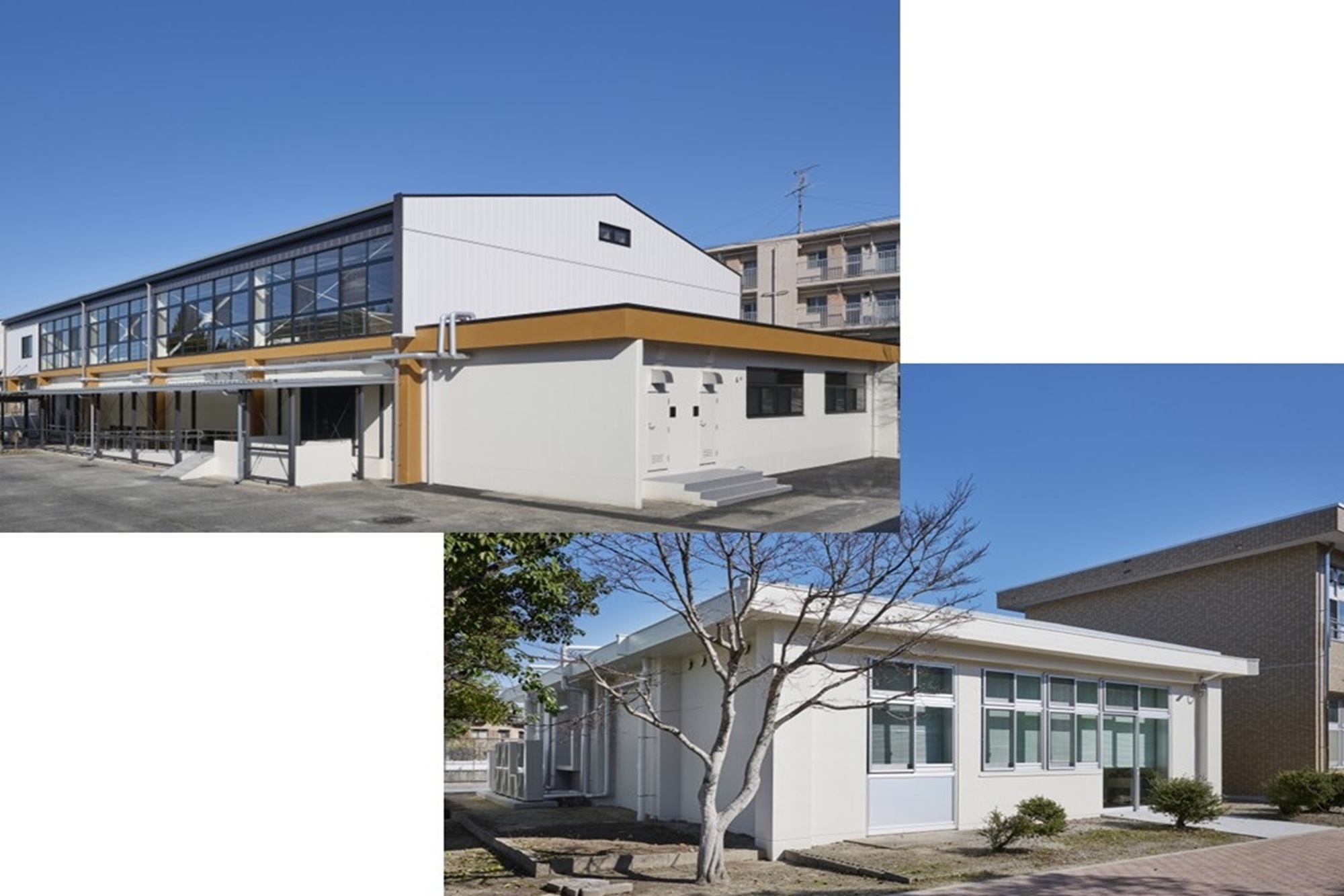 附属特別支援学校体育館、食堂棟